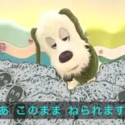 式の画像