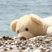 ぽむぽむ