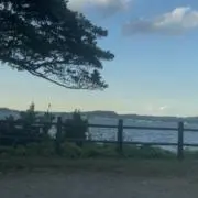 レモネードの画像