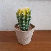 sanaの画像