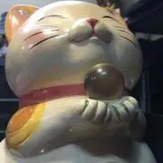ニコ@の画像