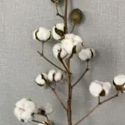 まる　即日発送の画像