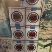 サシャの画像