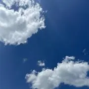 ゆゆの画像