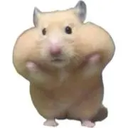 ふぁりの画像
