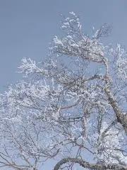Satory Hayamaの画像