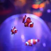⚠️プロフ必読お願いします⚠️はらちゃんの画像
