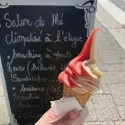 ころんの画像