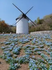 miyabiの画像
