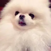 m.の画像