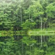 まのっちの画像