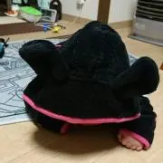 akh❌プロフ必ず読んで下さい❌