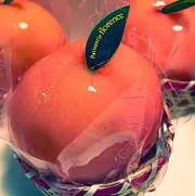 アッコの画像