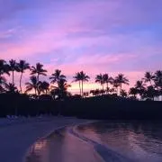 Aloha