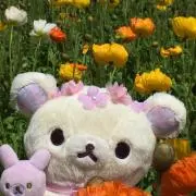 coco99の画像