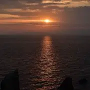 くまの画像