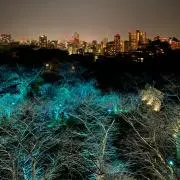vellの画像