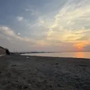 倫の画像