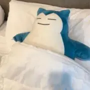 もんの画像