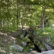29の画像