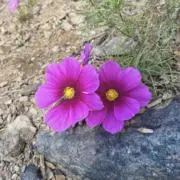 みなみ ＊プロフィール必読の画像
