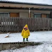 にゅうの画像