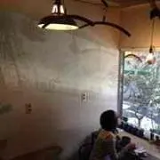 Shamama☆の画像