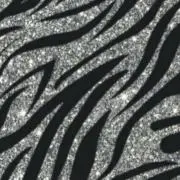 Rの画像
