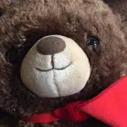 ぶるぞうの画像