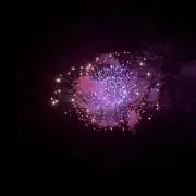マリーの画像
