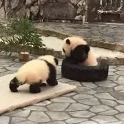 みかんの画像