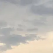 ももんがの画像