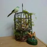 Chiko☆即日発送☆の画像