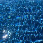 団子虫の画像