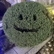Blueの画像