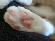 ゆー