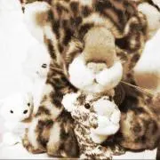 なんこ