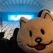 ココナッツの画像