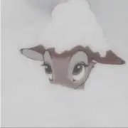 冬子の画像