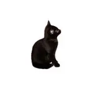 a''yaの画像