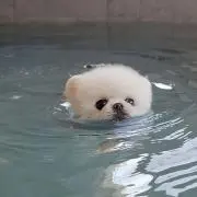 anの画像