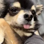 めるの画像