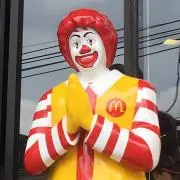 ようぴの画像