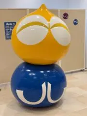 スクワラルの画像