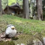 siobouyaの画像