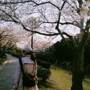 ゆゆゆ@即購入⭕️の画像