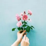 売り切りたい☺︎の画像