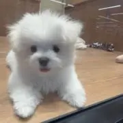 ここの画像