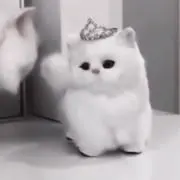 みの画像