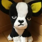 iPhoneコンセントの画像